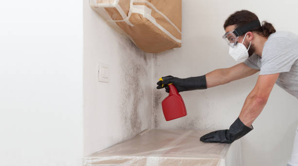 Professional Mold Remediation technician working in Tenafly, NJ