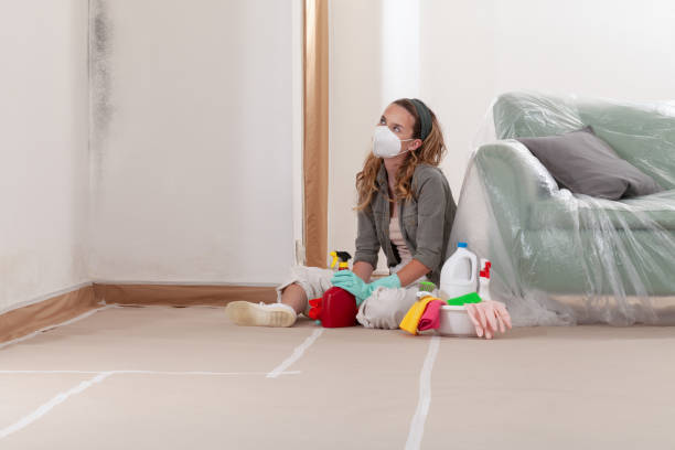 Reliable Mold Remediation contractor in Tenafly, NJ by 24 Hour Mold Removal